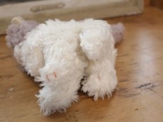 画像9: Antique Steiff Cosy Kitty Cat (9)