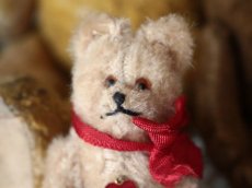 画像2: Antique Mini Berg Bear 4in/Austria (2)