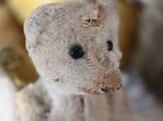 画像5: RARE Antique Schuco Pìccolo Bear/Germany (5)