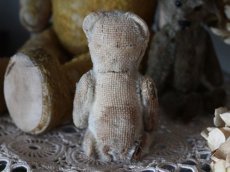 画像8: RARE Antique Schuco Pìccolo Bear/Germany (8)