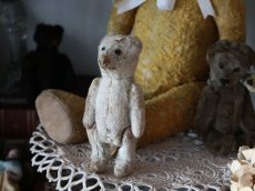 画像10: RARE Antique Schuco Pìccolo Bear/Germany (10)