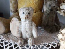 画像1: RARE Antique Schuco Pìccolo Bear/Germany (1)