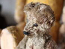 画像4: RARE Antique Schuco Yes/No Bear/Germany (4)