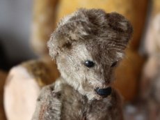 画像5: RARE Antique Schuco Yes/No Bear/Germany (5)