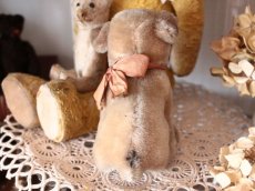 画像8: Antique Steiff Mopsy Pug/ヨーロッパ蚤の市 (8)