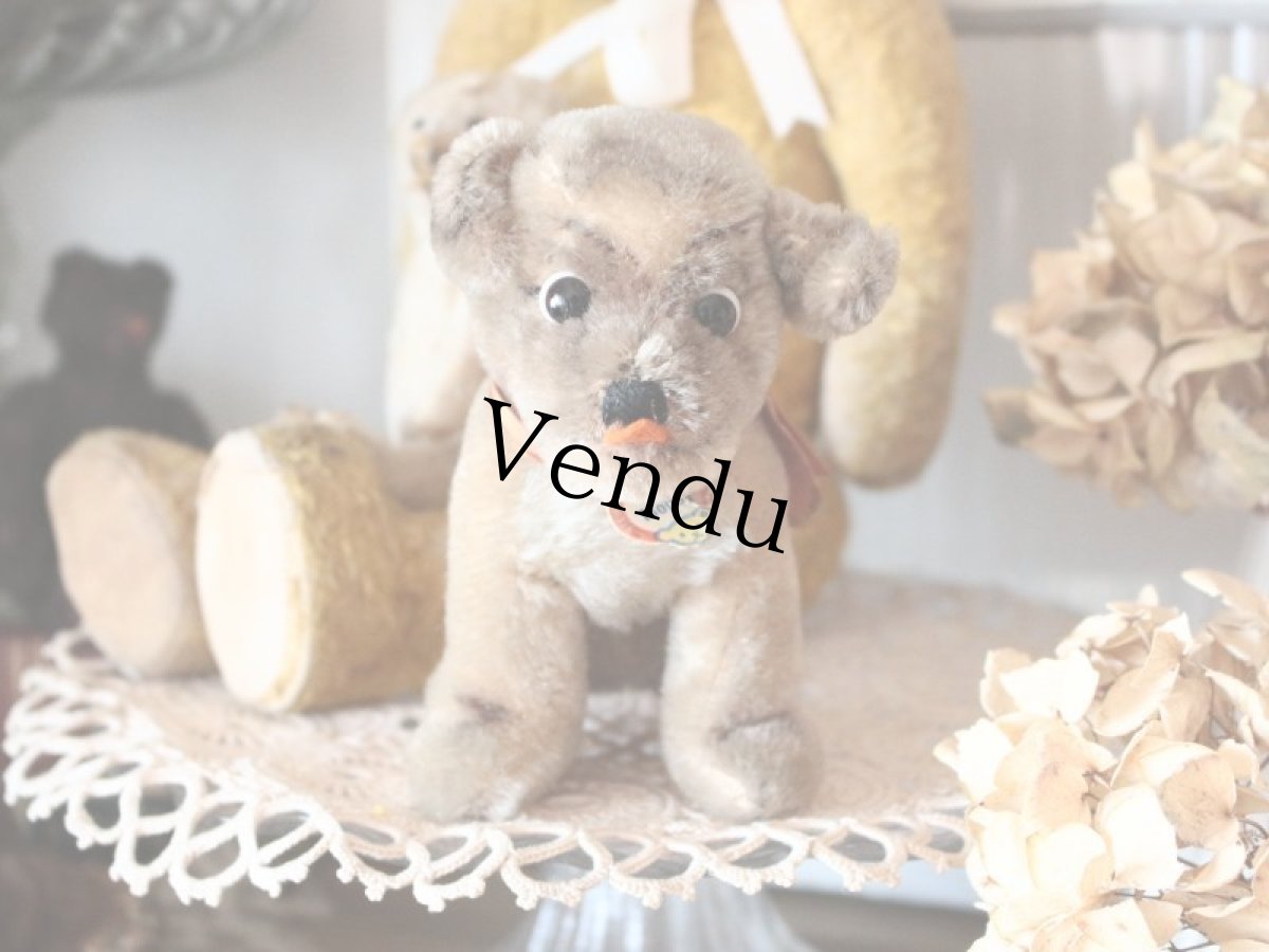 画像1: Antique Steiff Mopsy Pug/ヨーロッパ蚤の市 (1)