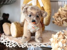 画像1: Antique Steiff Mopsy Pug/ヨーロッパ蚤の市 (1)