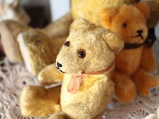 画像7: Antique Mini Bear 5in/Germany (7)