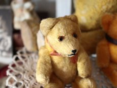 画像6: Antique Mini Bear 5in/Germany (6)