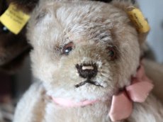 画像2: RARE!! Antique Steiff Jackie Baby Bear/ 蚤の市 (2)