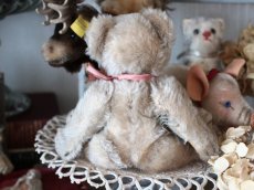 画像7: RARE!! Antique Steiff Jackie Baby Bear/ 蚤の市 (7)