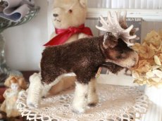 画像9: RARE!! RARE!! RARE!! Antique Steiff Moosy moose ヘラジカ/ 蚤の市 (9)