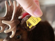 画像5: RARE!! RARE!! RARE!! Antique Steiff Moosy moose ヘラジカ/ 蚤の市 (5)