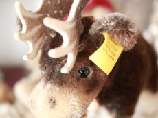 画像4: RARE!! RARE!! RARE!! Antique Steiff Moosy moose ヘラジカ/ 蚤の市 (4)