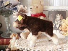 画像8: RARE!! RARE!! RARE!! Antique Steiff Moosy moose ヘラジカ/ 蚤の市 (8)