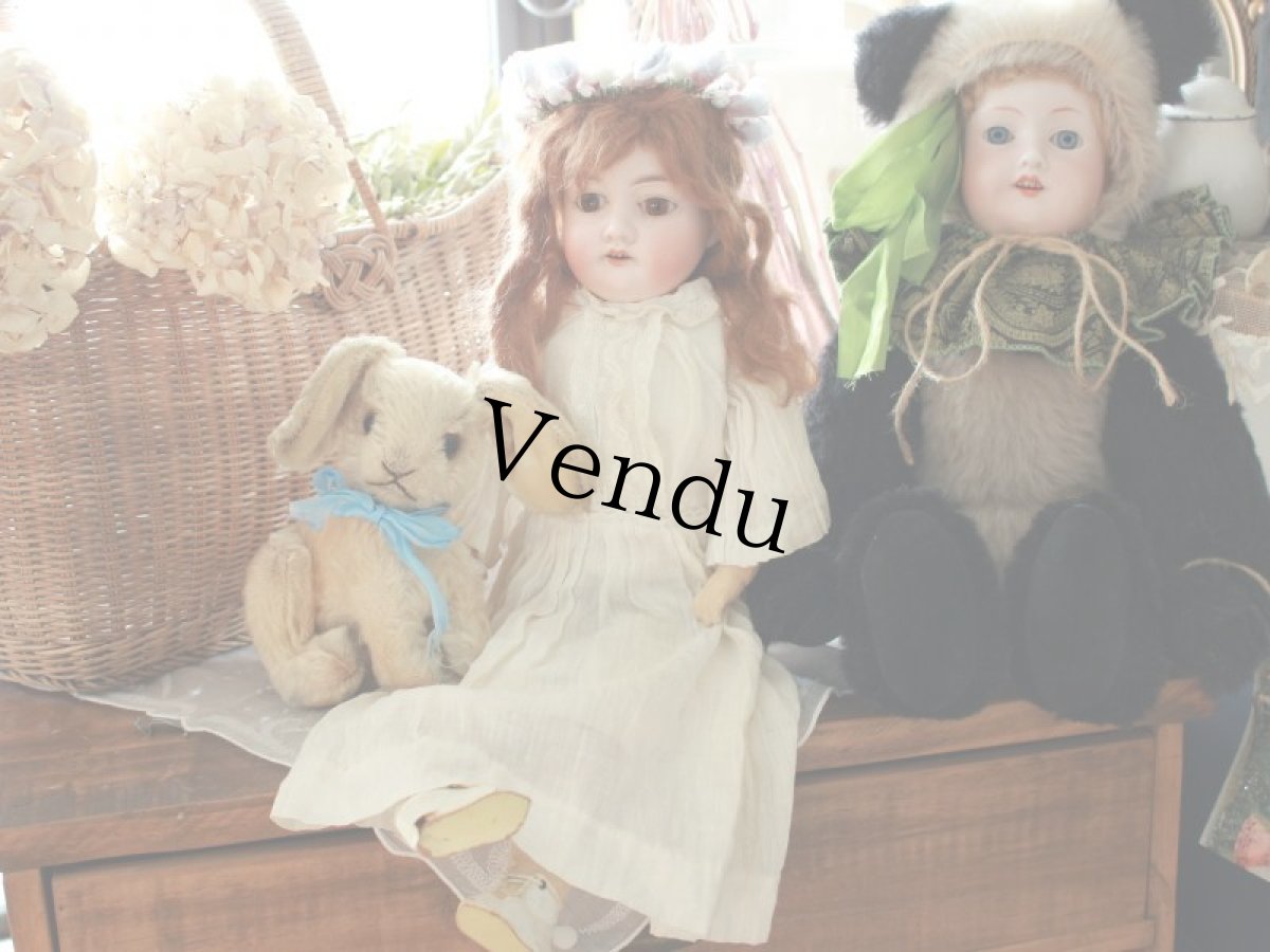 画像20: Armand Marseille＊ (20)