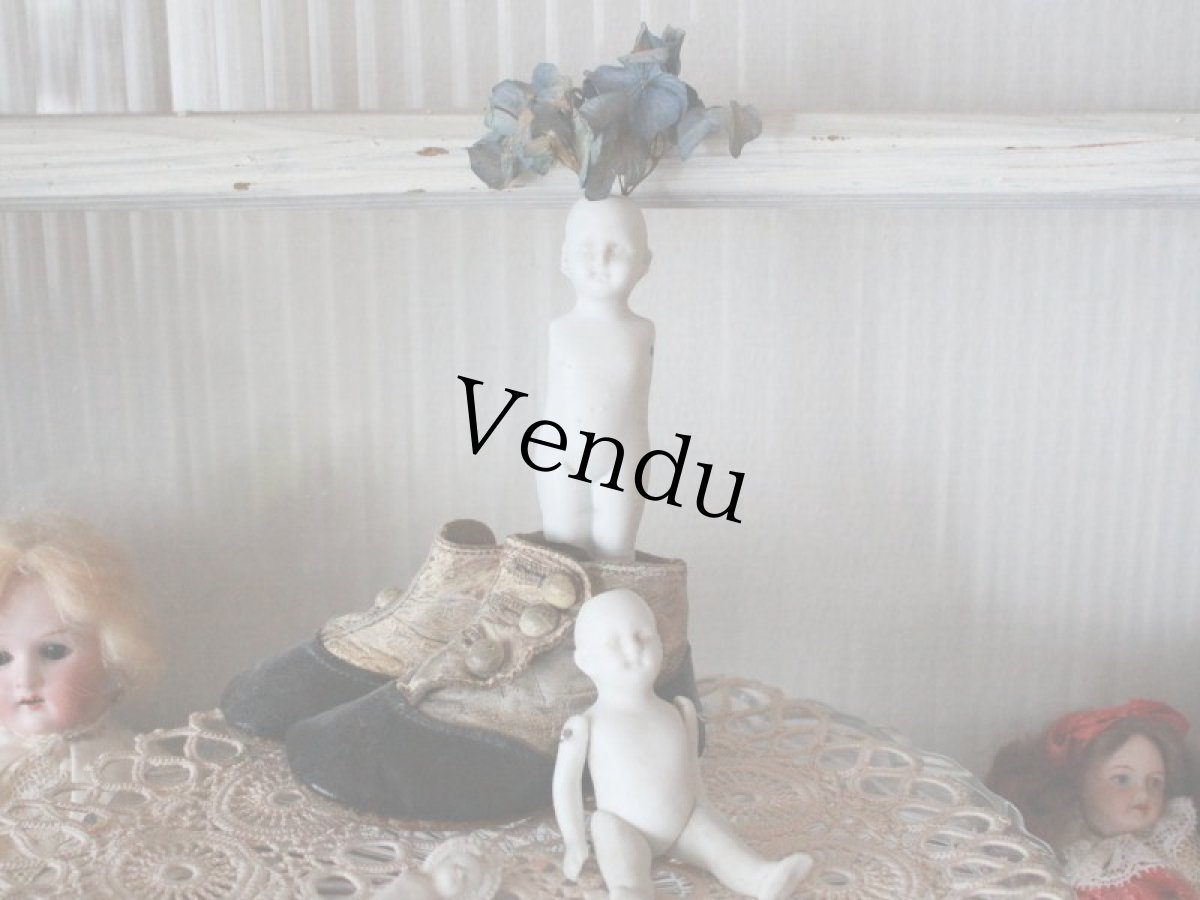 画像3: Ruth フローズンシャーロット B (3)