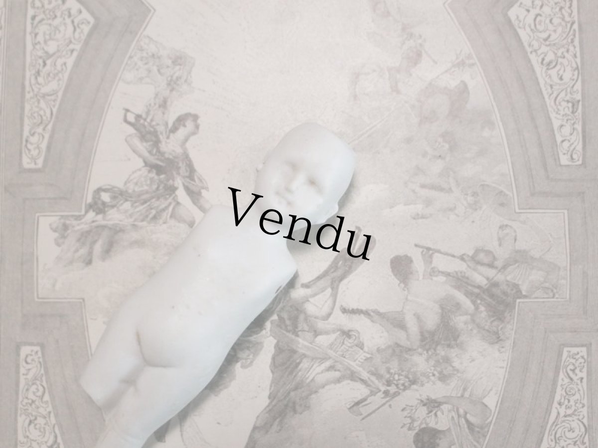 画像2: Ruth フローズンシャーロット B (2)