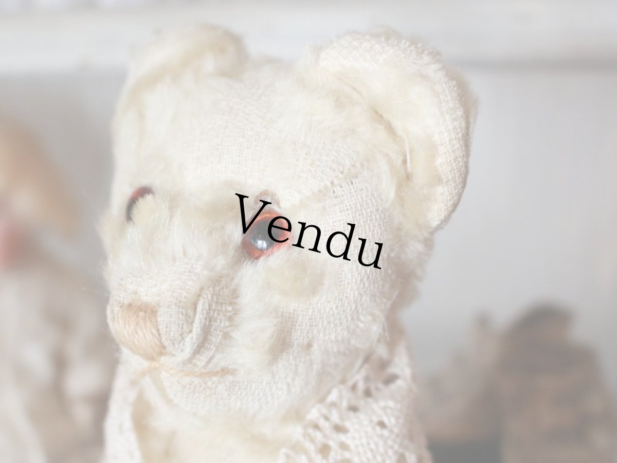 画像3: Antique White Bear (3)
