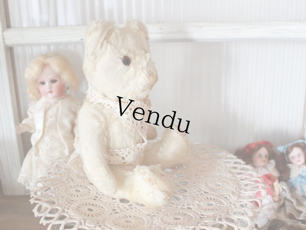 画像12: Antique White Bear (12)