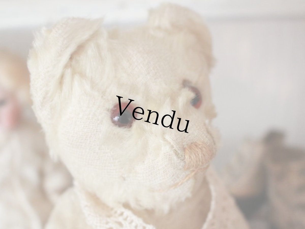 画像4: Antique White Bear (4)