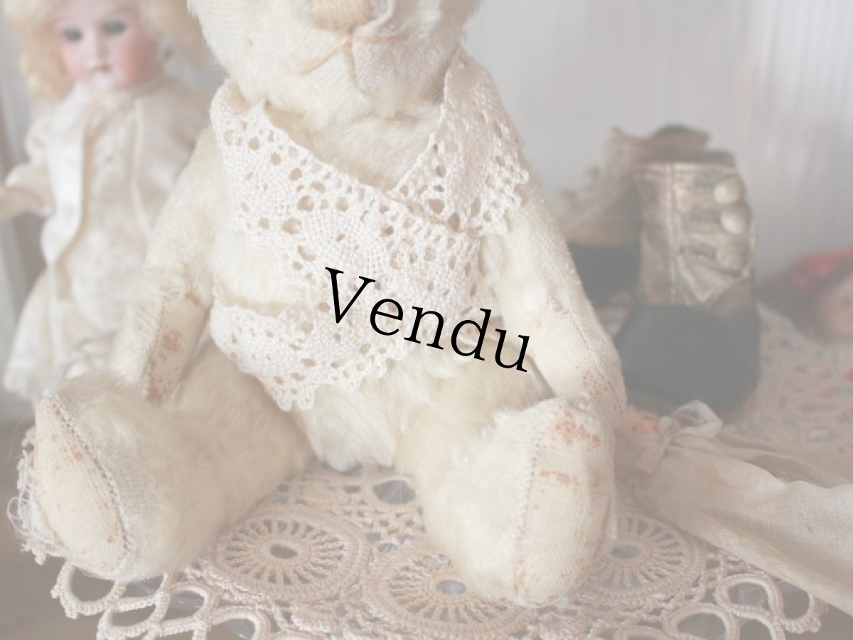 画像5: Antique White Bear (5)