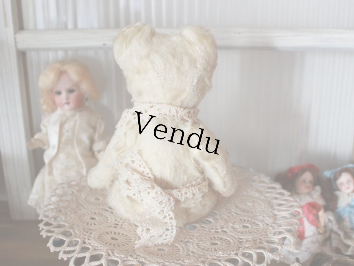 画像11: Antique White Bear (11)