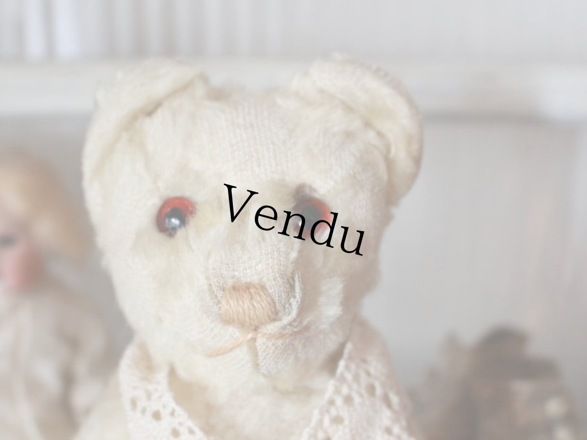 画像2: Antique White Bear (2)
