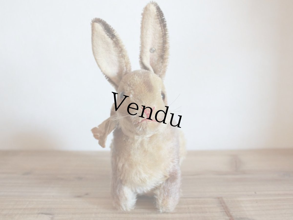 画像9: RARE!!Antique Steiff Hase / US ZONE (9)