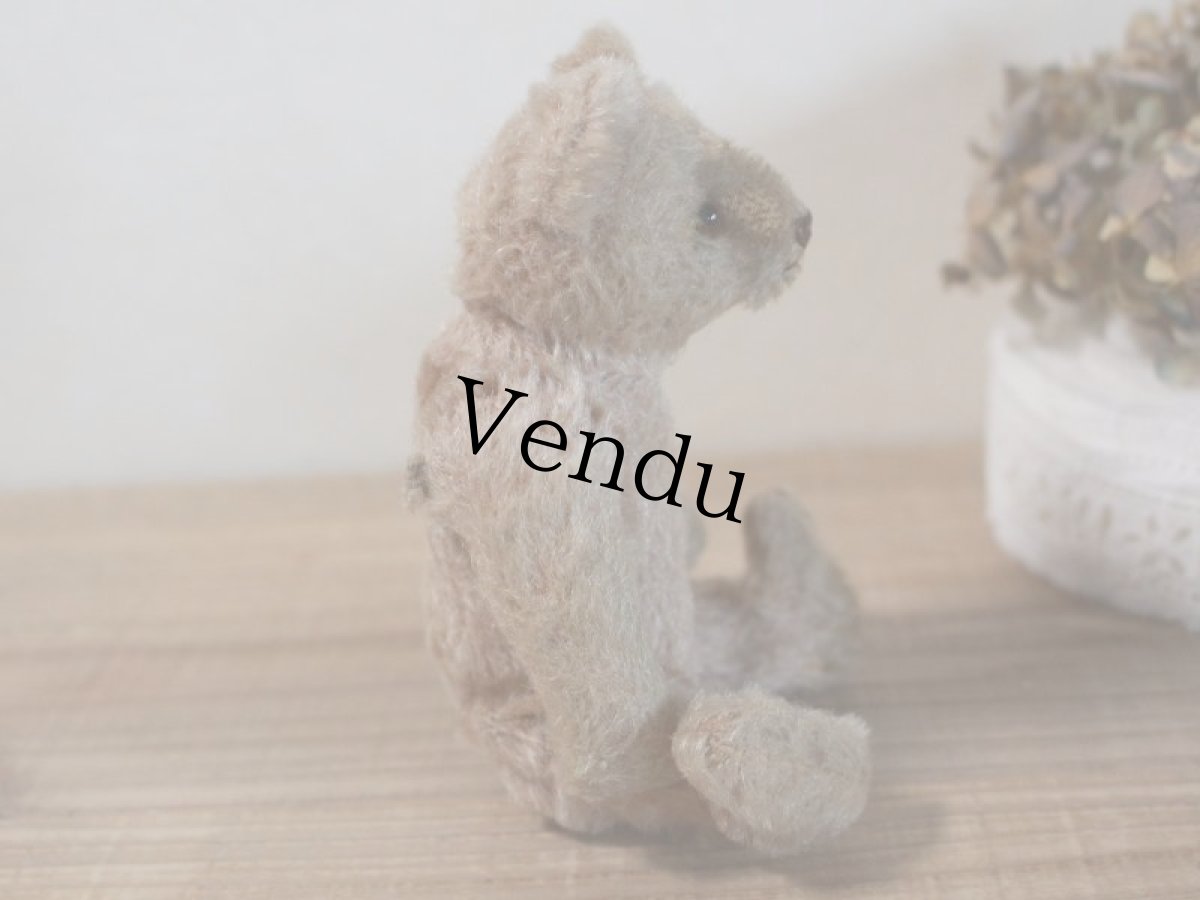 画像9: RARE!!Antique Steiff Original Bear / US ZONE (9)