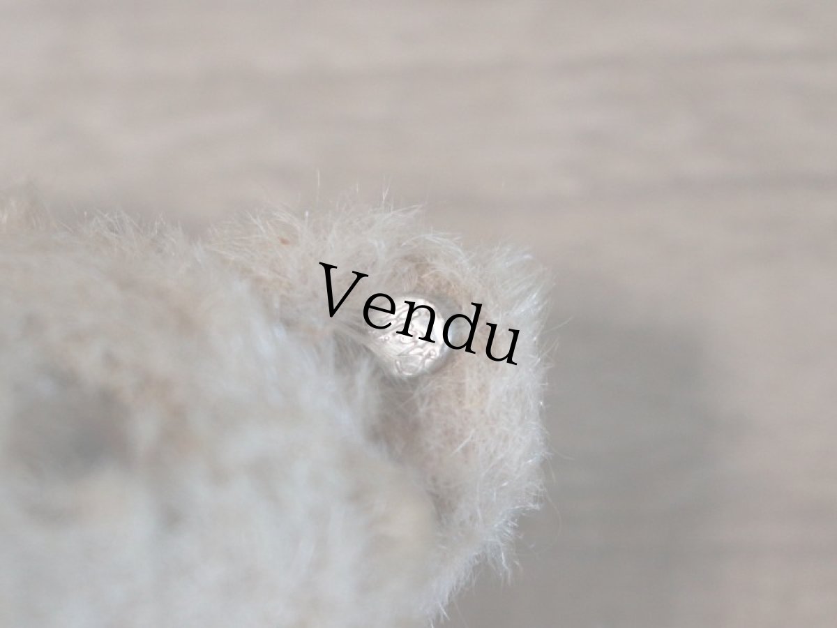 画像10: RARE!!Antique Steiff Original Bear / US ZONE (10)