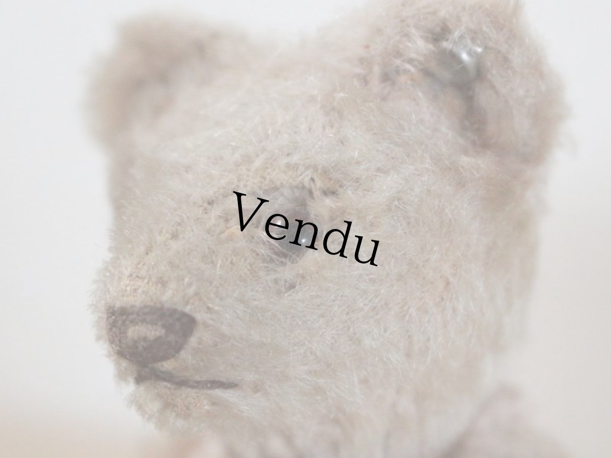 画像3: RARE!!Antique Steiff Original Bear / US ZONE (3)