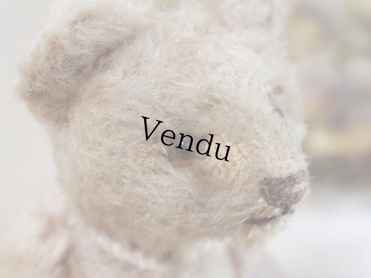 画像4: RARE!!Antique Steiff Original Bear / US ZONE (4)