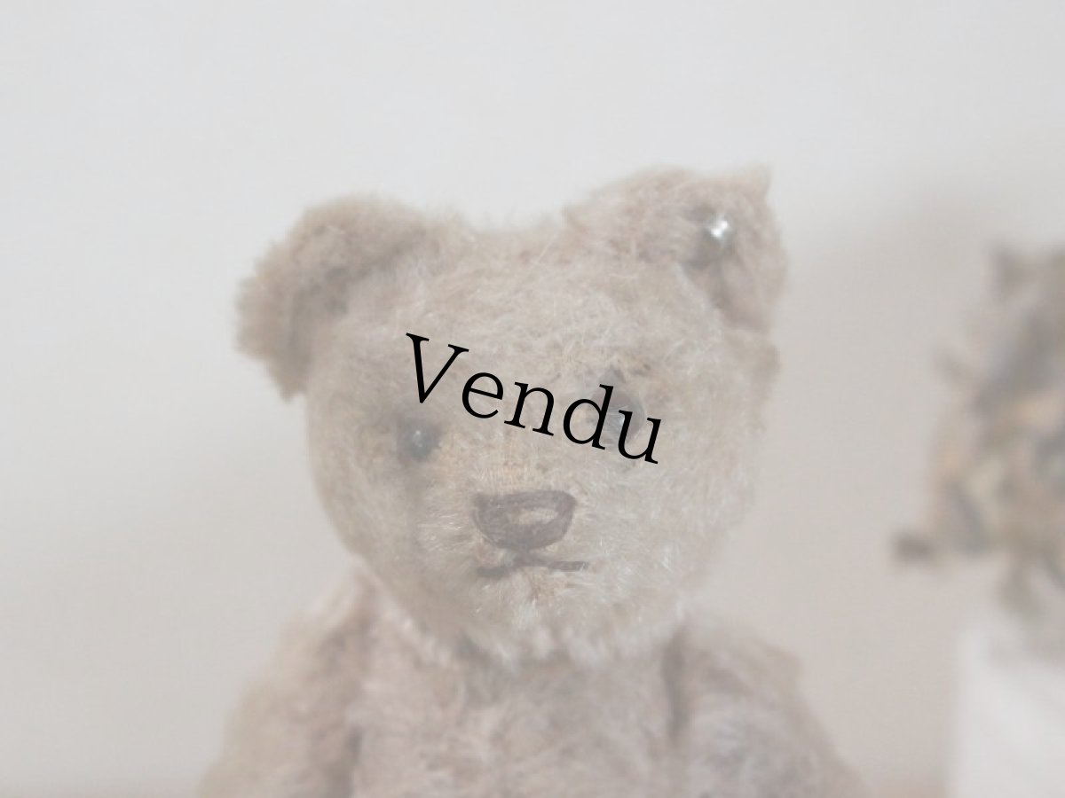 画像2: RARE!!Antique Steiff Original Bear / US ZONE (2)