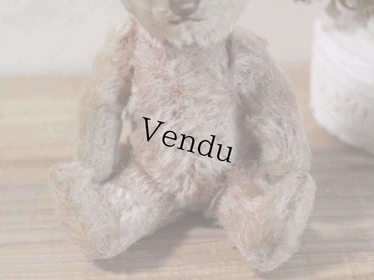 画像6: RARE!!Antique Steiff Original Bear / US ZONE (6)