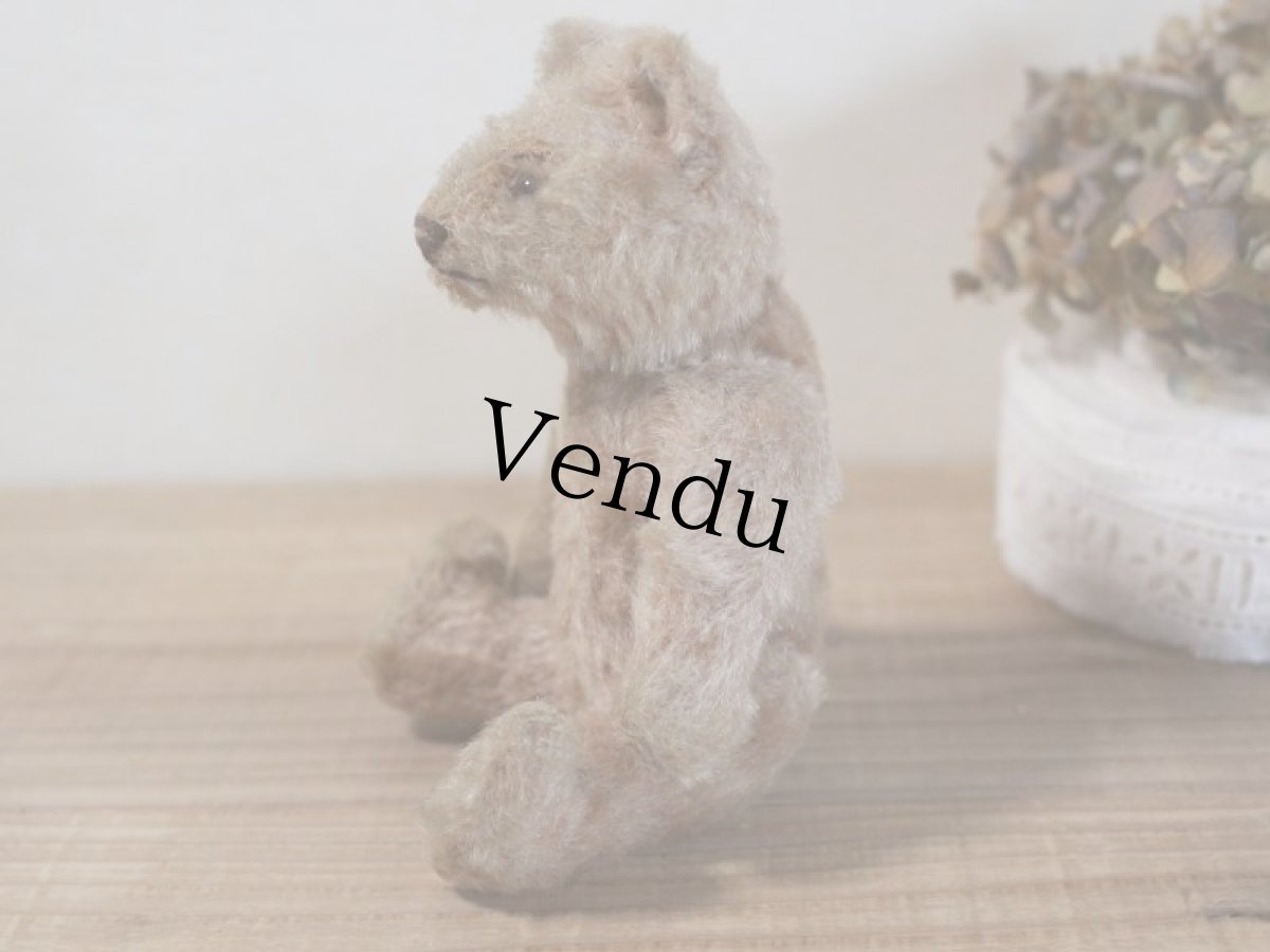 画像7: RARE!!Antique Steiff Original Bear / US ZONE (7)