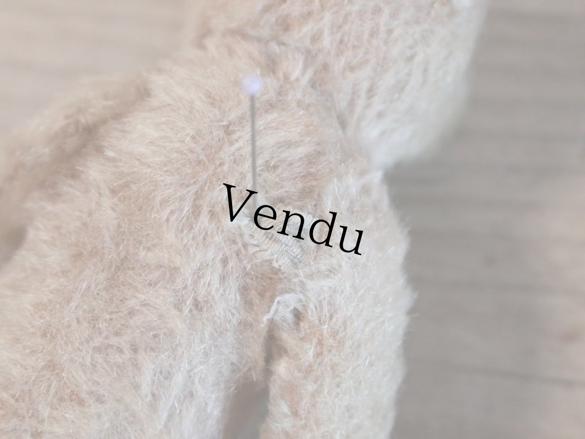 画像11: RARE!!Antique Steiff Original Bear / US ZONE (11)