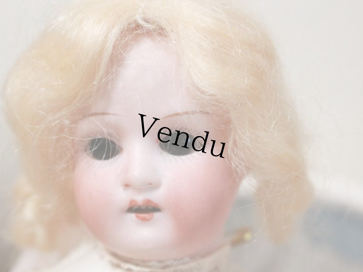 画像3: Mignonette Heubach/9in/Germany (3)