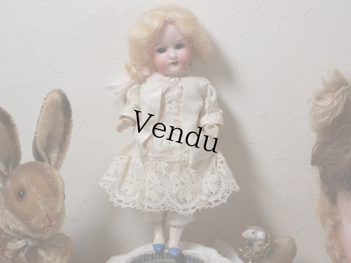 画像12: Mignonette Heubach/9in/Germany (12)