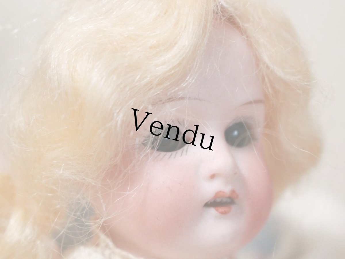 画像4: Mignonette Heubach/9in/Germany (4)