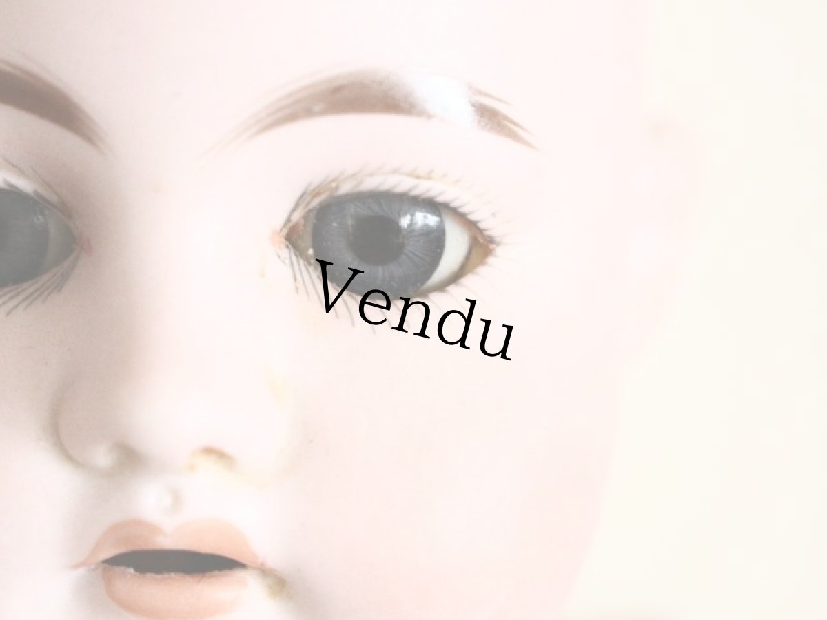 画像7: Ernst Heubach/ 21 1/2 iin/Germany (7)