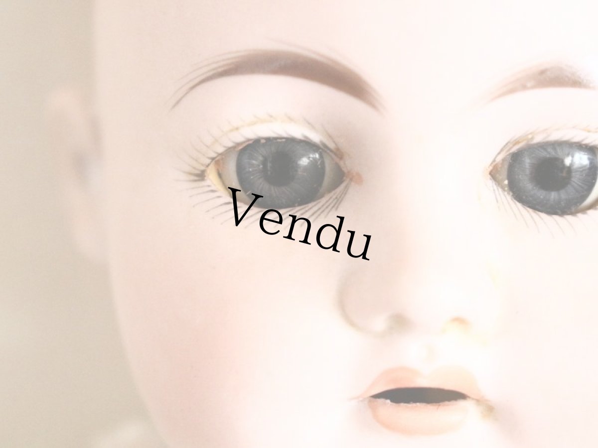 画像8: Ernst Heubach/ 21 1/2 iin/Germany (8)