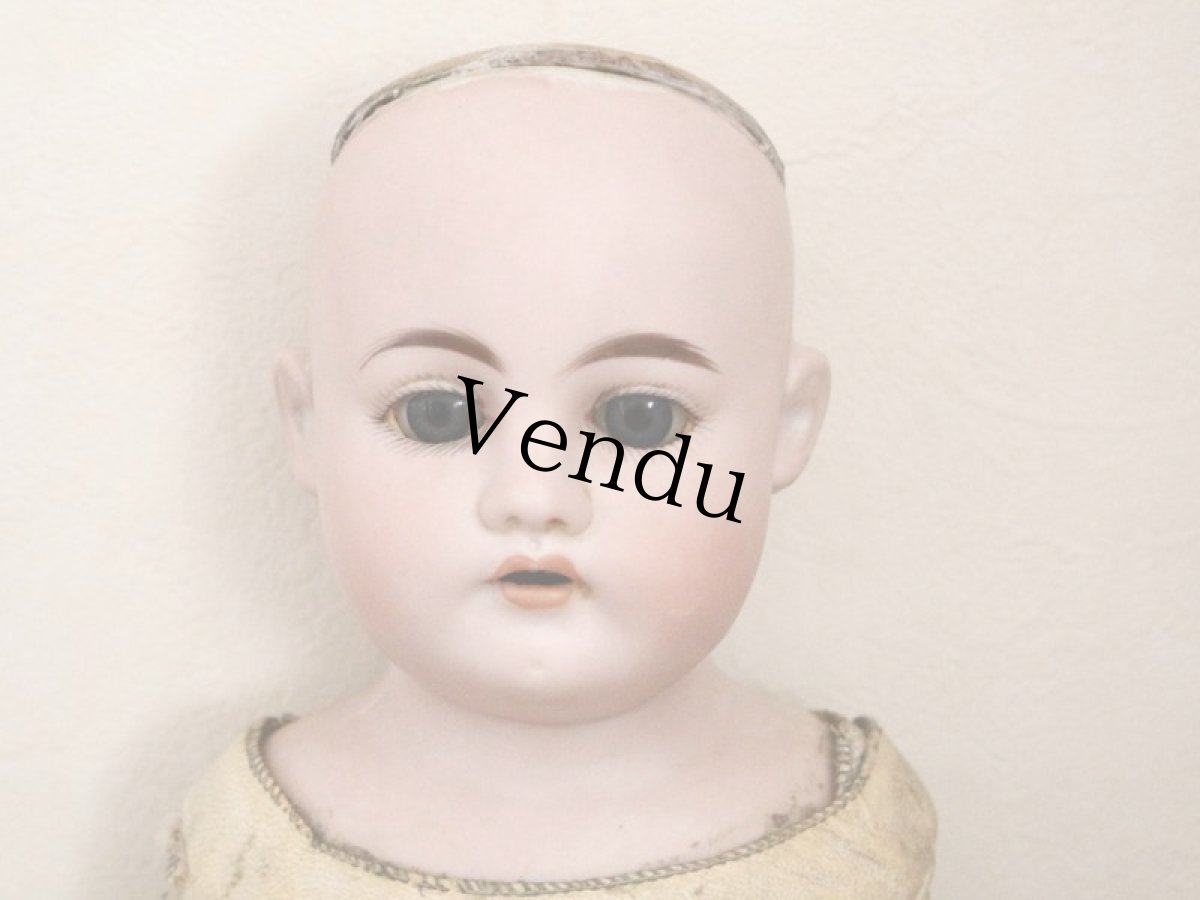 画像10: Ernst Heubach/ 21 1/2 iin/Germany (10)