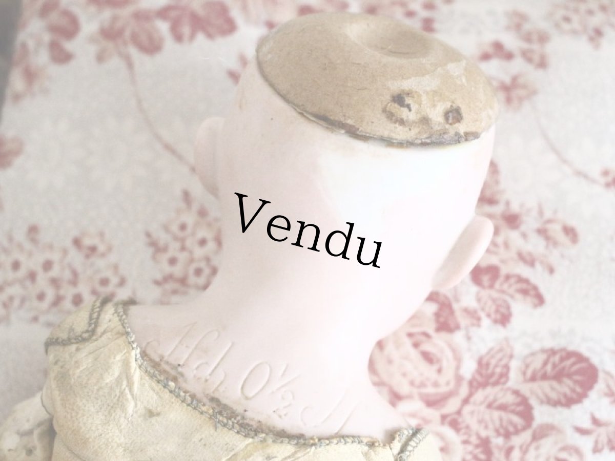 画像13: Ernst Heubach/ 21 1/2 iin/Germany (13)