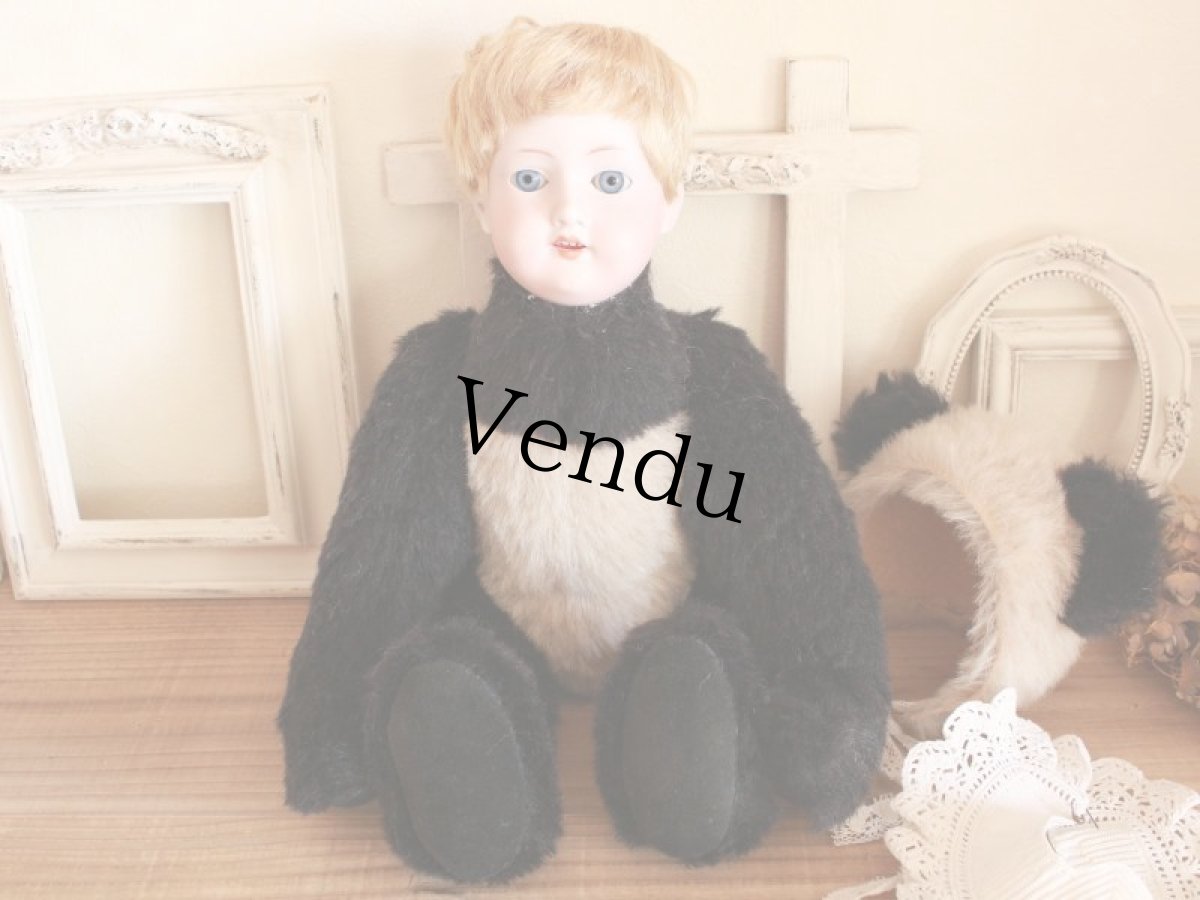 画像10: Panda Doll/Armand Marseille Head/15in/Germany (10)