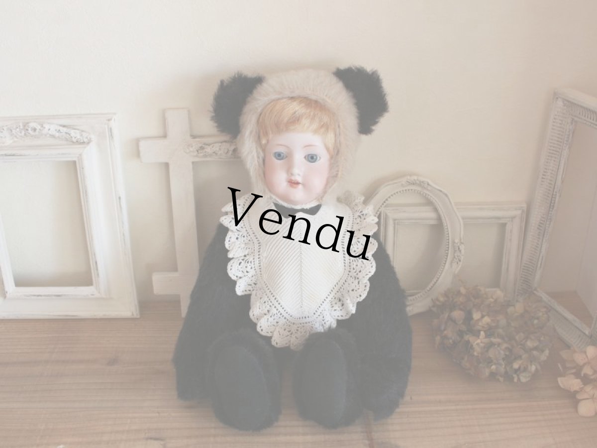 画像11: Panda Doll/Armand Marseille Head/15in/Germany (11)