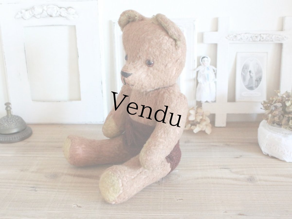 画像7: Antique French Bear/15in/France (7)