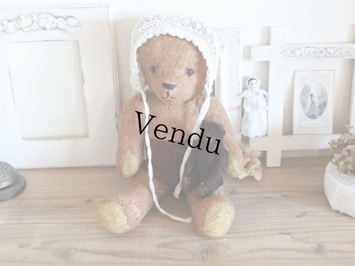 画像11: Antique French Bear/15in/France (11)