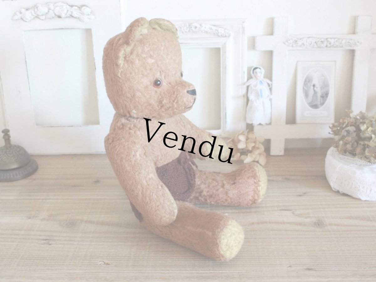 画像8: Antique French Bear/15in/France (8)