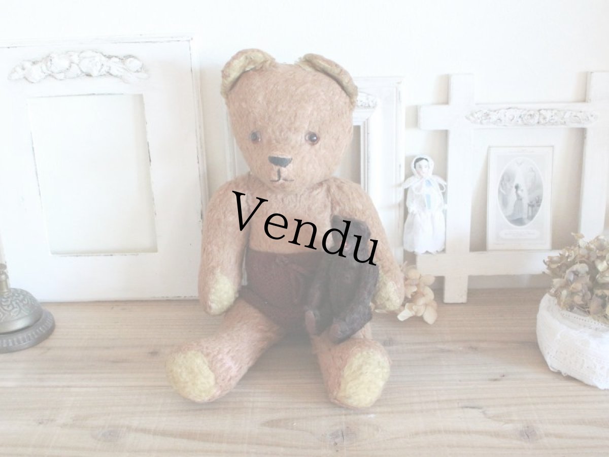 画像10: Antique French Bear/15in/France (10)